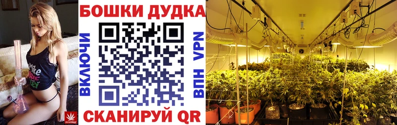 Бошки марихуана White Widow  Чехов 
